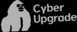 Cyber Upgrade